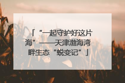 “一起守护好这片海”——天津渤海湾畔生态“蜕变记”